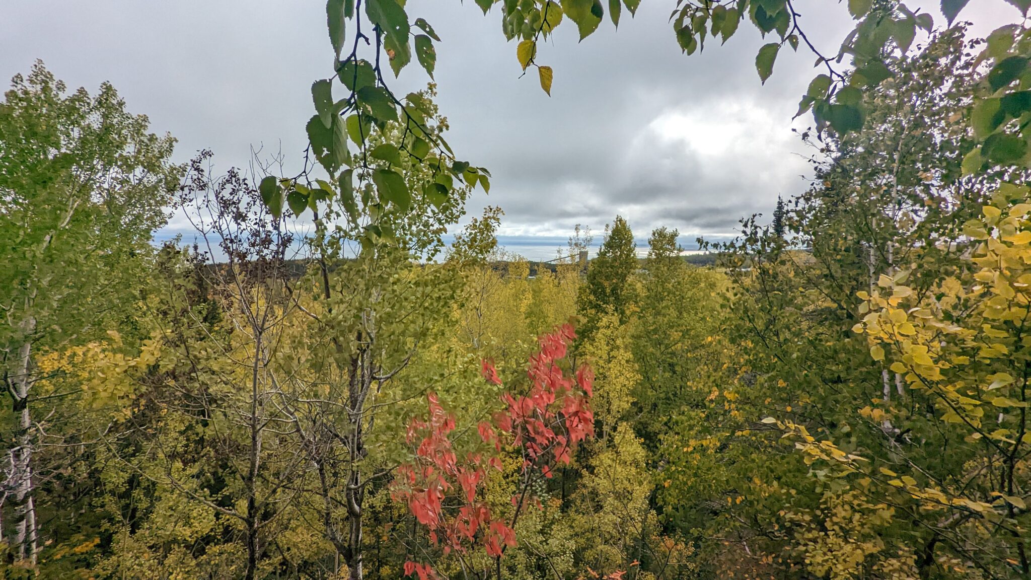Discovering Minnesota's Natural Beauty A Realtor's Perspective