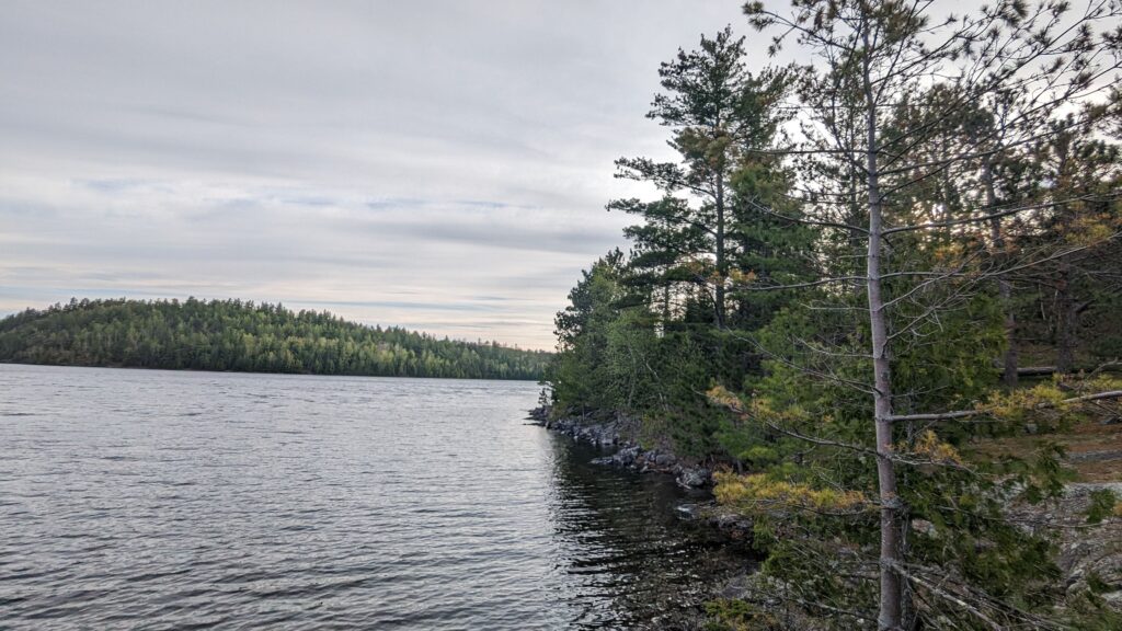 Discovering Minnesota's Natural Beauty A Realtor's Perspective